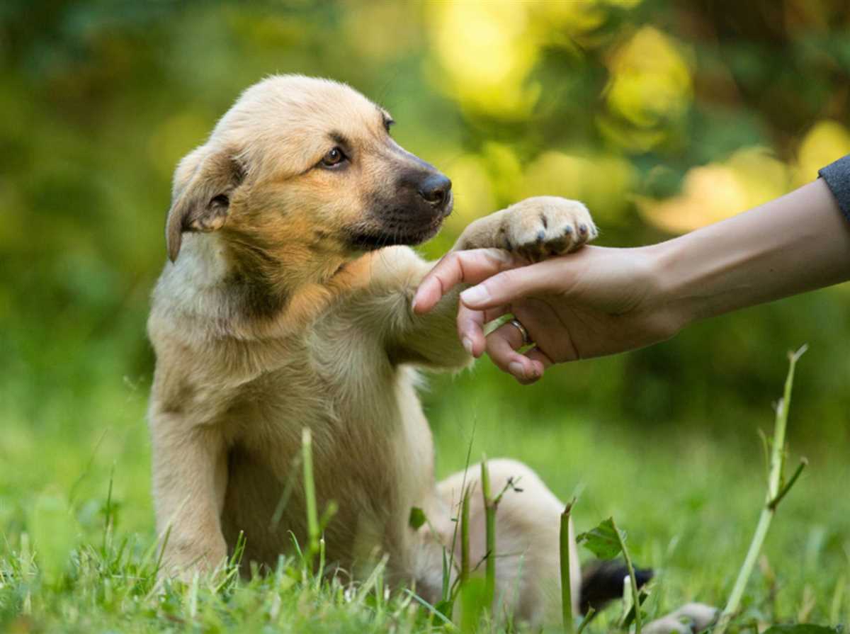 Besuch bei Freunden oder Familie