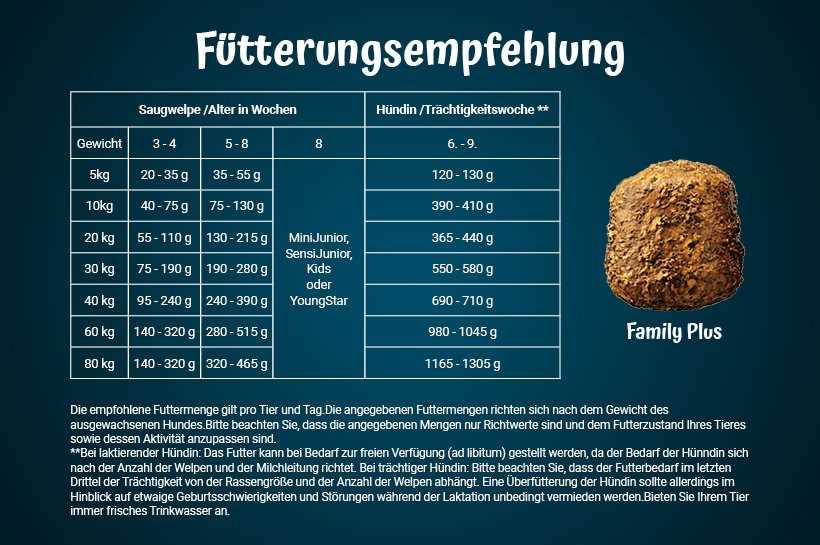 Wie viel Futter benötigt ein mittelgroßer Hund?