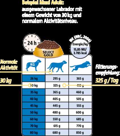 4. Futter langsam einführen