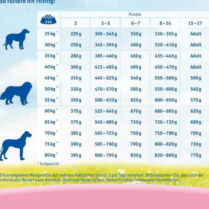 Tabelle mit Rassen und empfohlener Fütterungsmenge