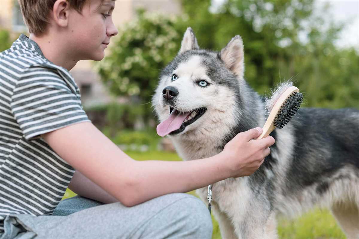 Kurzhaarige Rassen