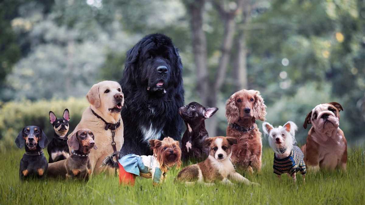 Weltweite Hunde Population