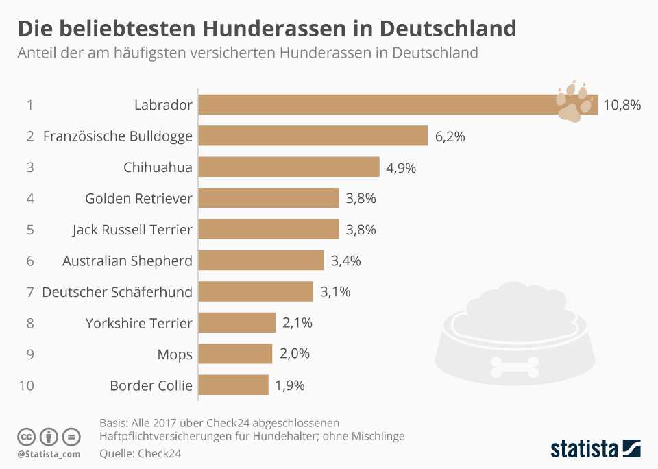 Gesamtzahl der Hunde