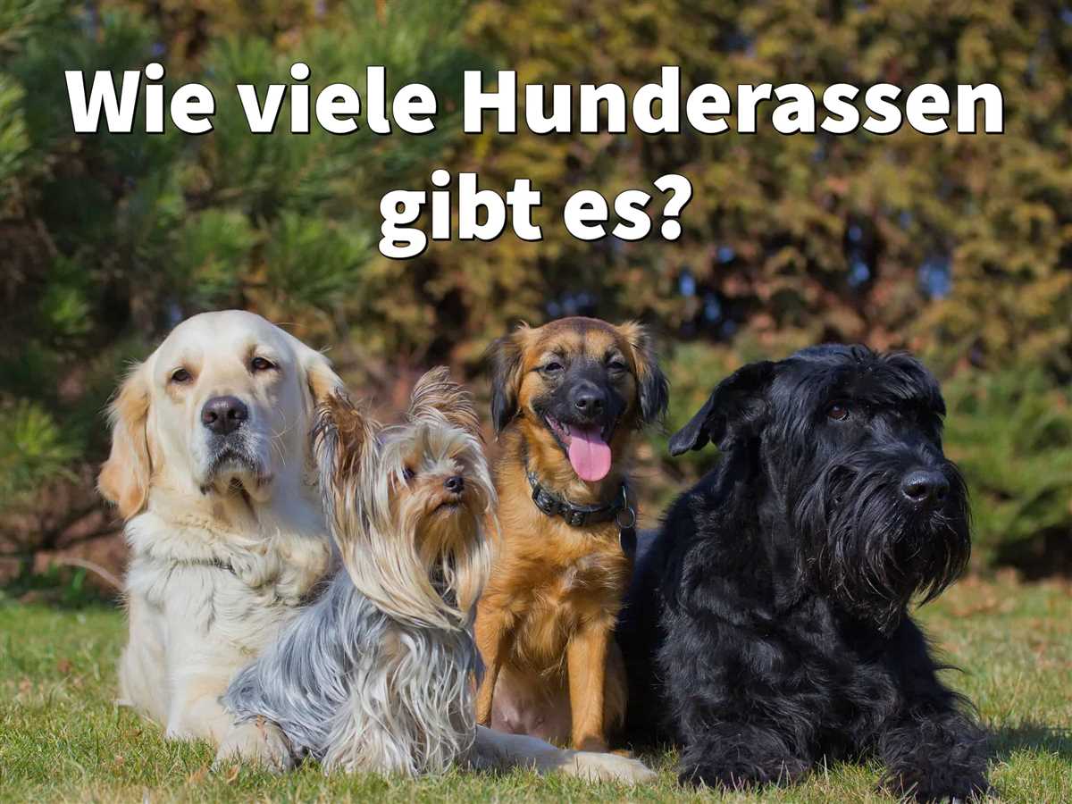 6. Hunde als Therapie- und Assistenztiere