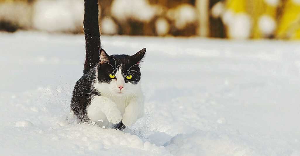 Welche Arten von Winterkleidung gibt es?