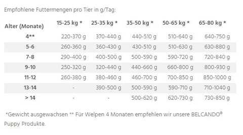 Tipps für die Fütterung deines Hundes