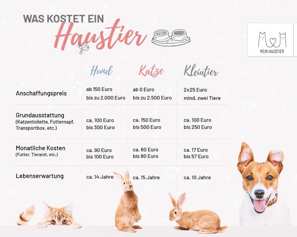 Warum ist Hundetraining wichtig?