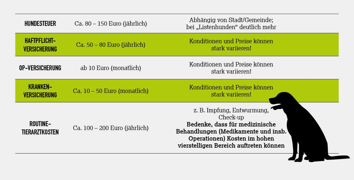 Spielzeug und Ausstattung