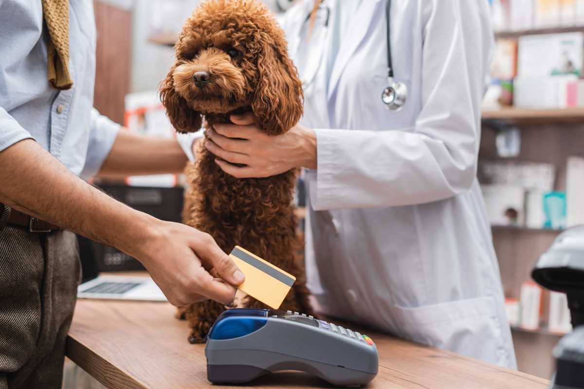 Tipps zur Kostenminimierung bei Tierarztbesuchen für Hunde