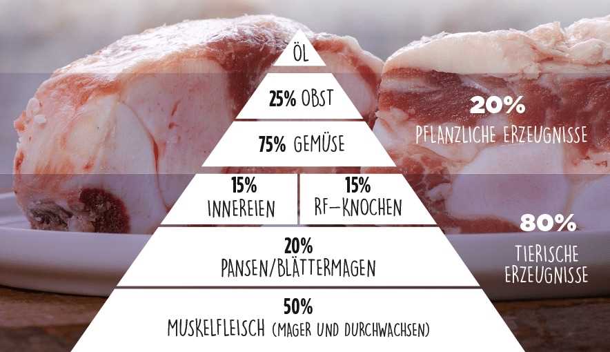 6. Die richtigen Mengen