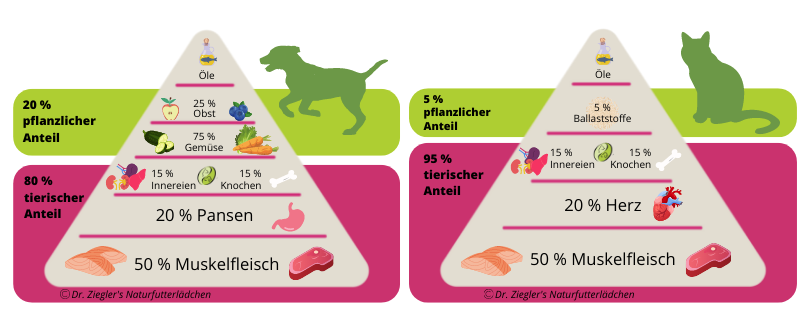 8. Reduzierung von Allergien und Futtermittelunverträglichkeiten