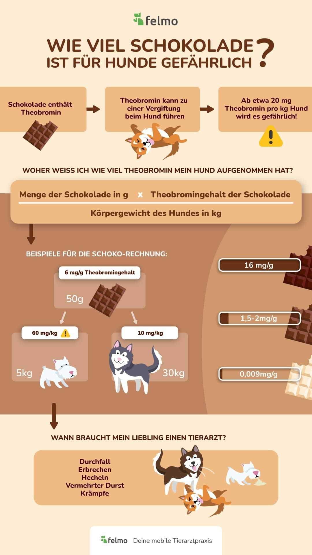 Tipp 1: Vorsicht bei Schokolade für Hunde