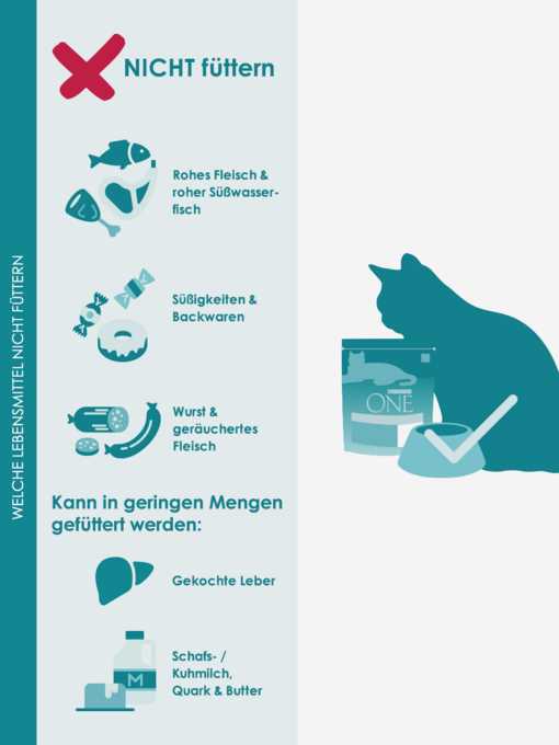 Empfohlene Fütterungsmenge für Katzen