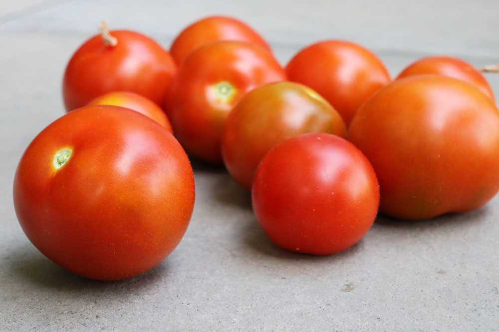 Tomatengrün