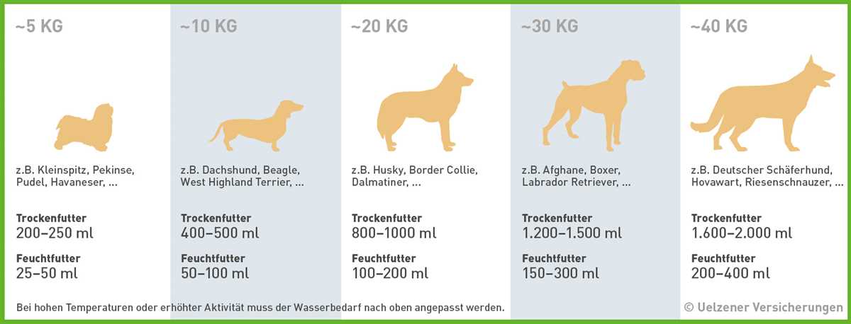 4. Flüssigkeitszufuhr in der Ernährung berücksichtigen