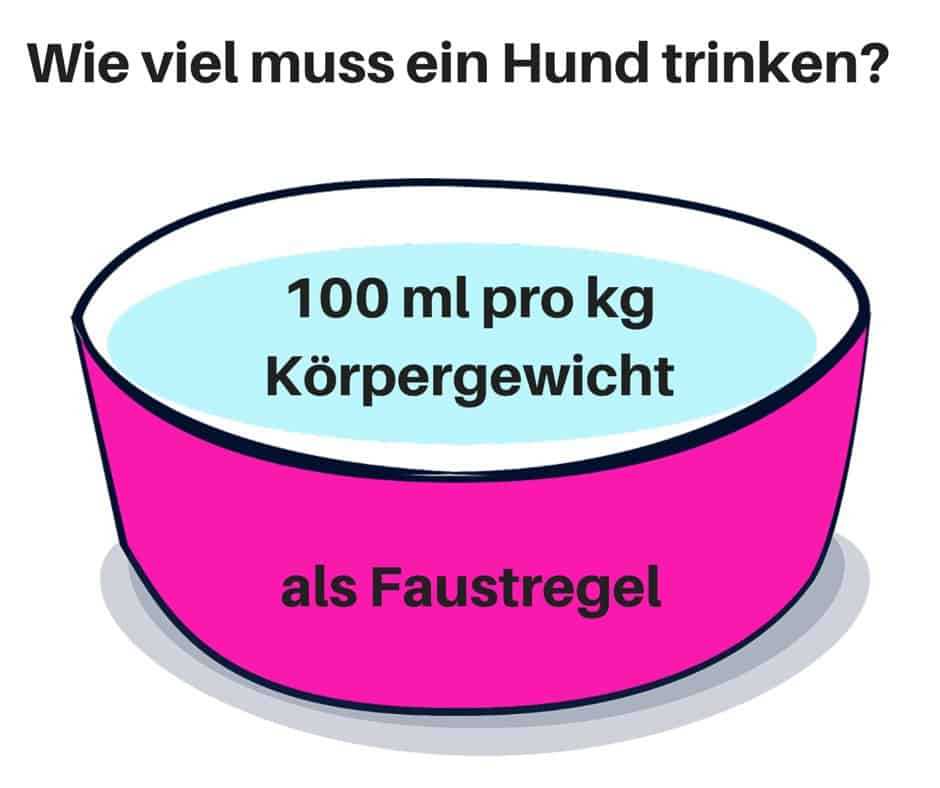 5. Besondere Aufmerksamkeit bei Krankheit oder Hitze