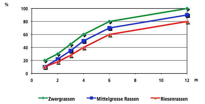 Wachstum nach dem ersten Jahr