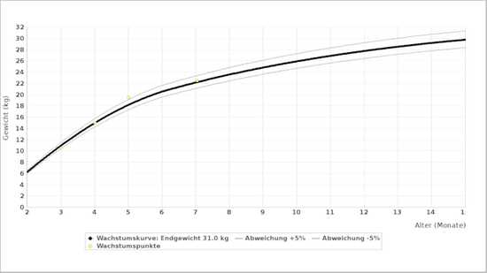 2. Die Adoleszenz (6-12 Monate)