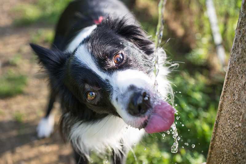 2. Die richtige Menge Wasser