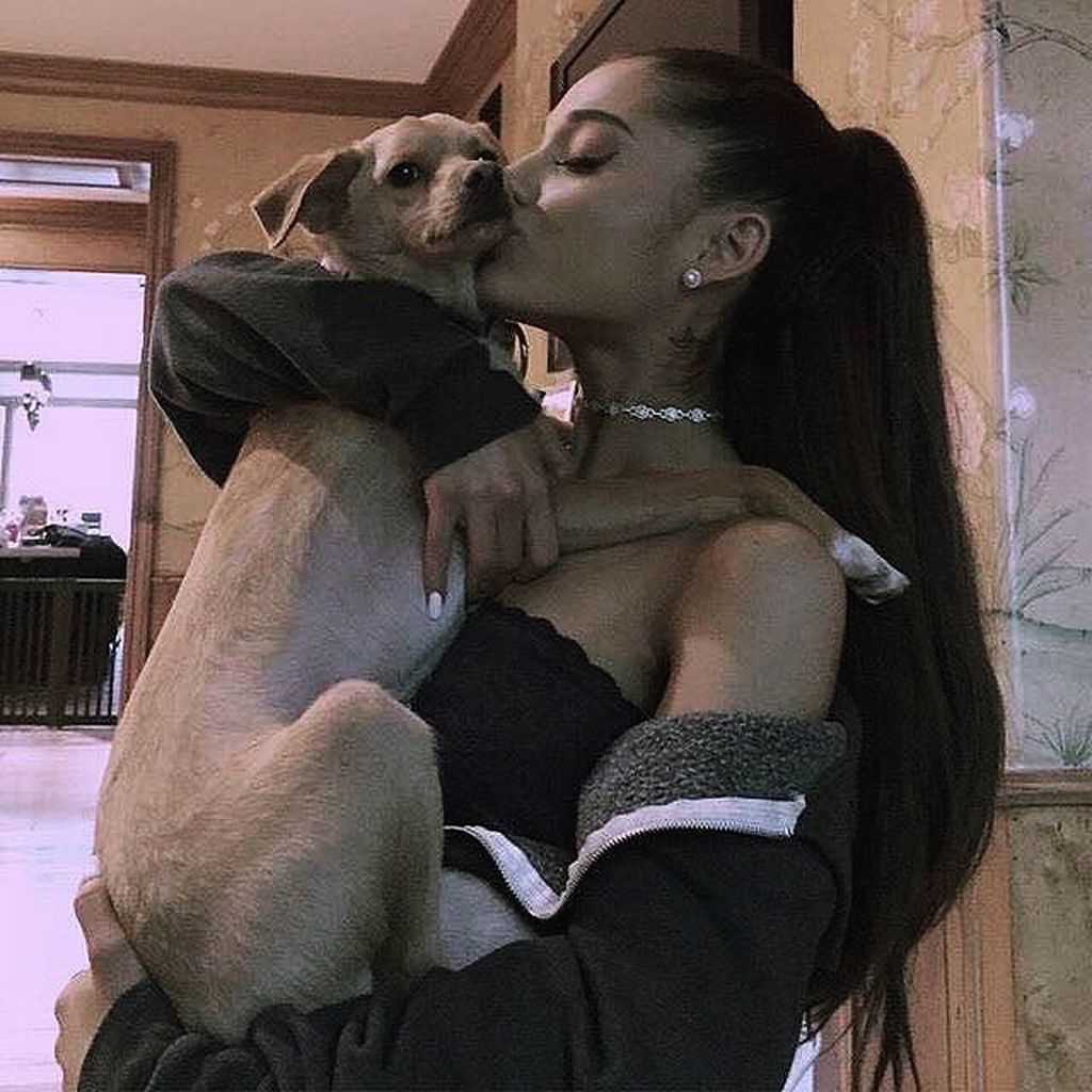 Wie viele Hunde hat Ariana Grande? | Alles über ihre geliebten Vierbeiner