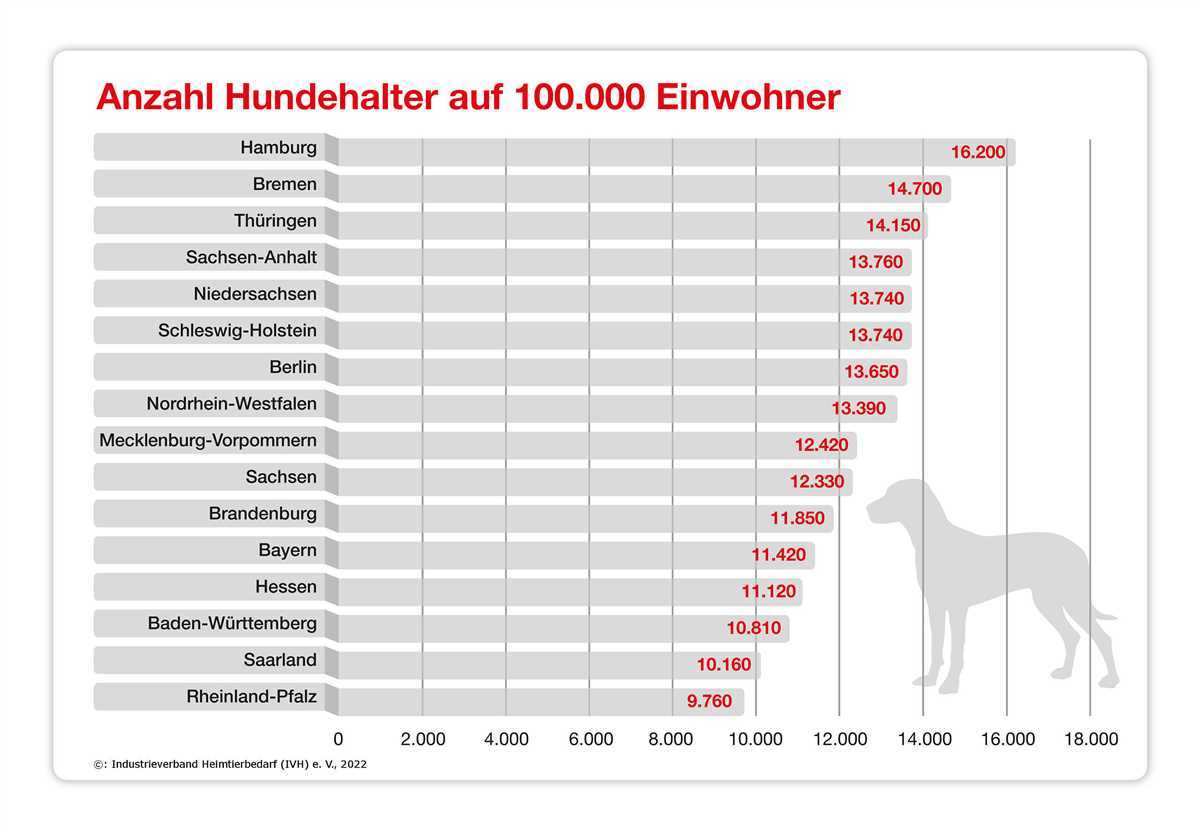 Die Haltung und Versorgung von Hunden in Deutschland