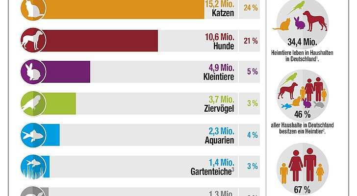 Zusammenfassung