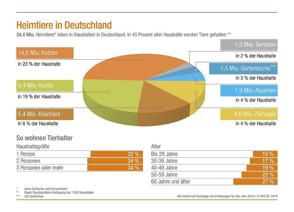 5. Therapeutische Wirkung von Katzen