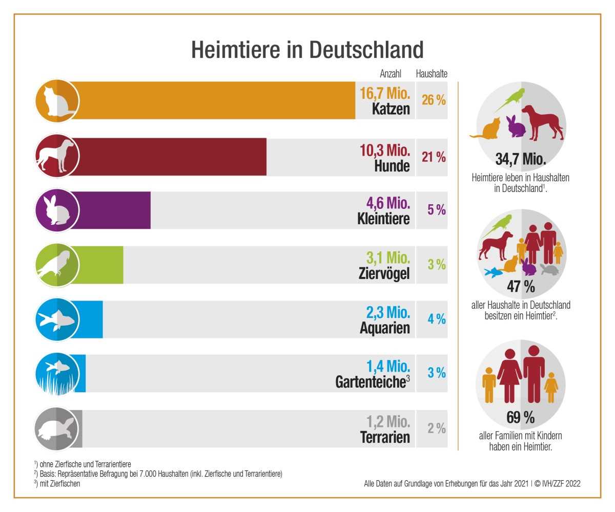 Katzenhaltung im Vergleich zu anderen Haustieren