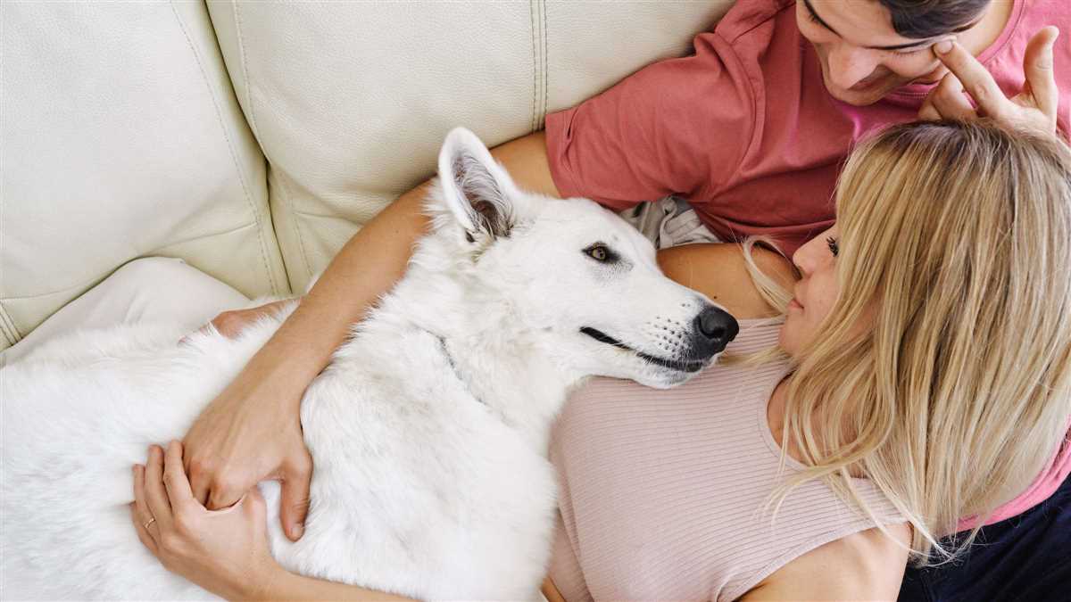 Wie zeigt ein Hund seine Liebe? Entdecken Sie die Zeichen der Zuneigung Ihres Vierbeiners