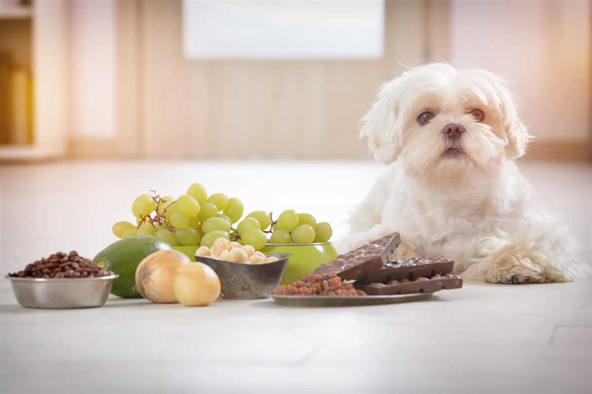 3. Erfahre, welche Art von Schokolade dein Hund gegessen hat