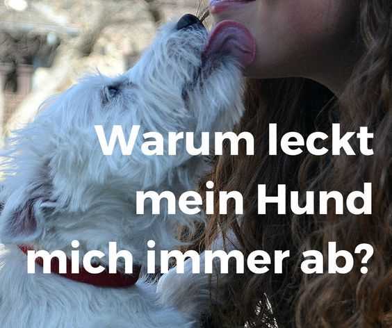 Lautäußerungen