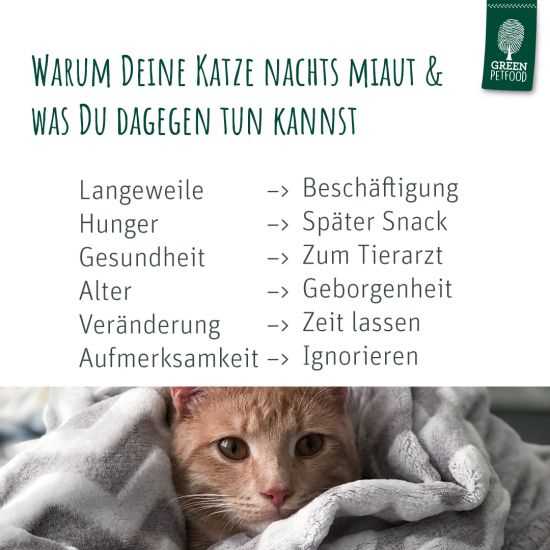 4. Regelmäßige Routine