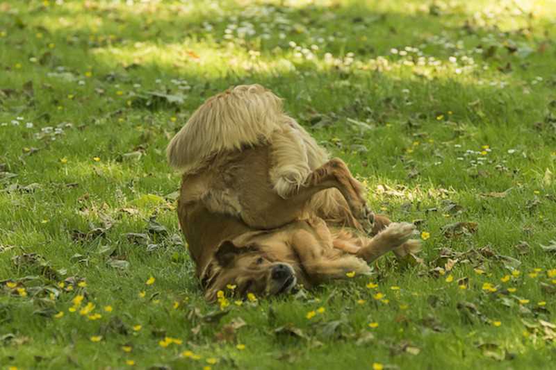 3. Entspannung und Wohlbefinden