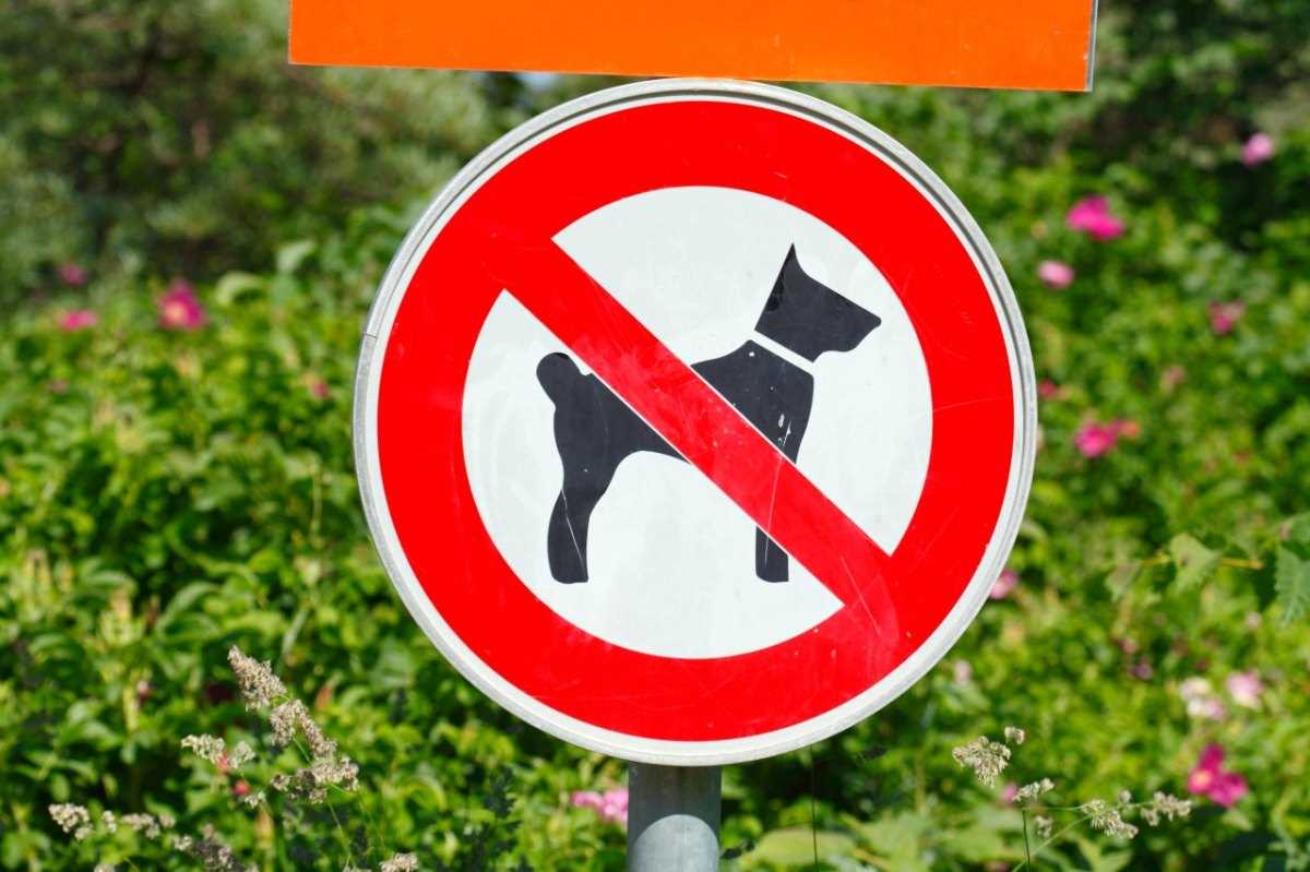 Ausstattung des Hundeparks