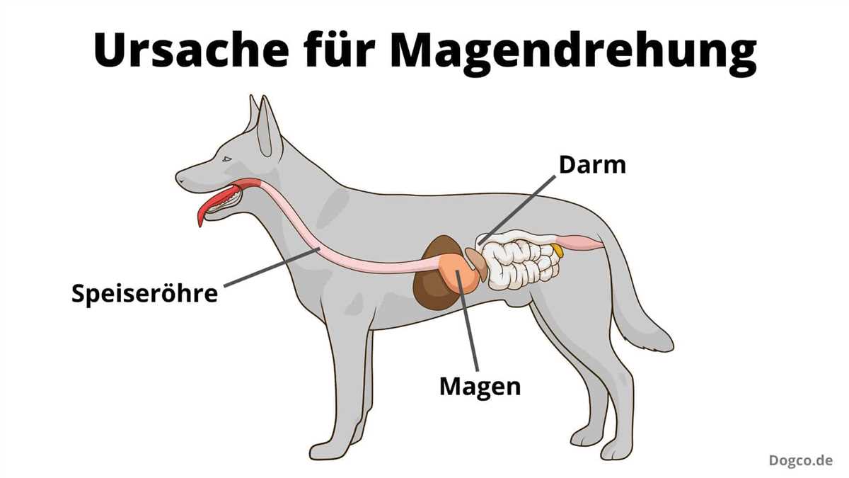 Beobachtung von Parasiten