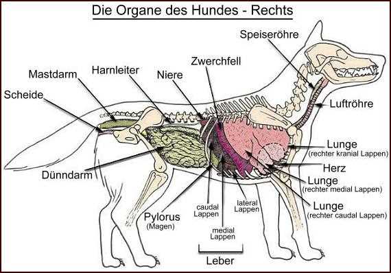 Tisch und Wäsche