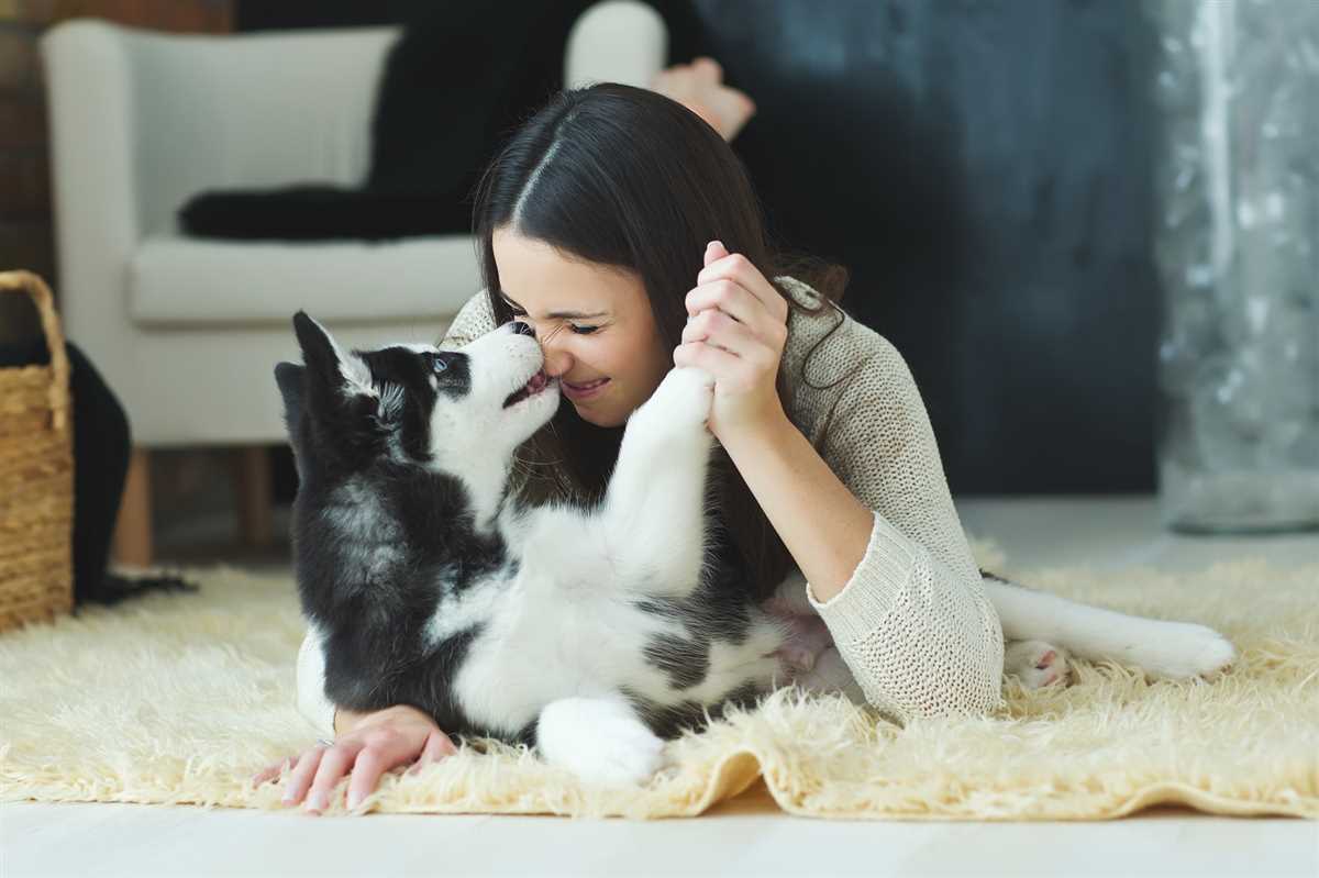 Wie erkenne ich, dass mein Hund mich liebt? Expertentipps für Hundebesitzer